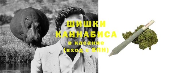 мяу мяу мука Белокуриха