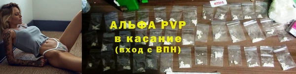 мяу мяу мука Белокуриха