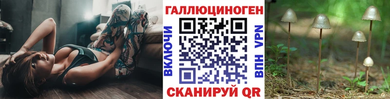 где можно купить наркотик  Полтавская  Псилоцибиновые грибы мицелий 